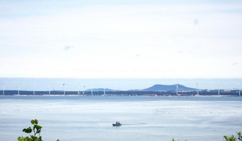 ɽ���������������ι���