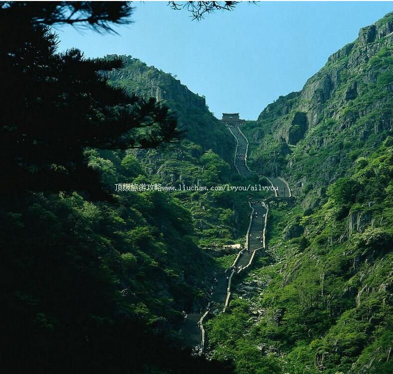 5Aɽ��ɽ��̩ɽ�羰�����ι���