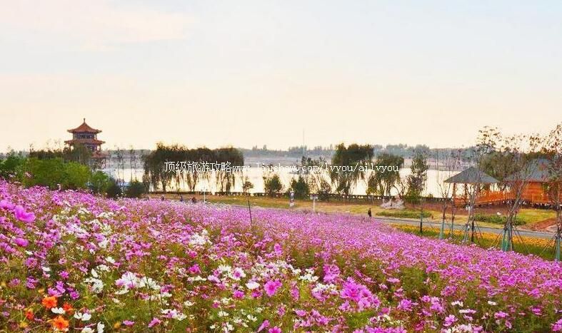 4A山东泰安天颐湖旅游度假区旅游攻略