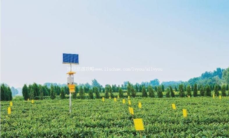 3Aɽ��������·�̺���̬��԰���ι���