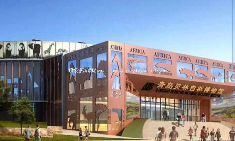 山东青岛贝林自然博物馆旅游攻略