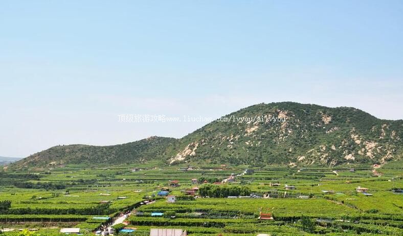 山东平度大泽山风景区旅游攻略