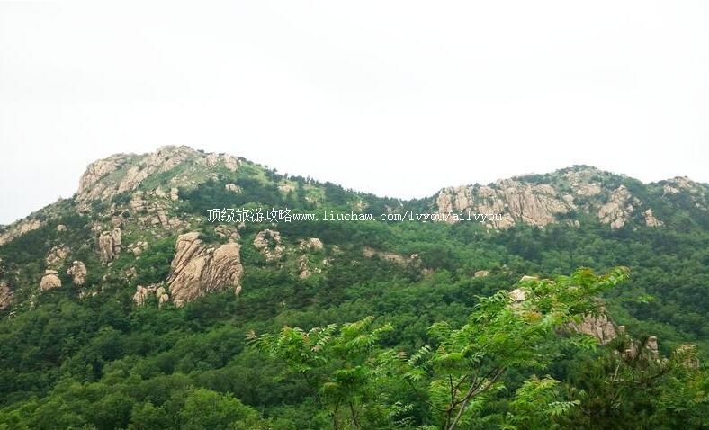 4Aɽ���ൺ��ɽ����ɭ�ֹ�԰���ι���