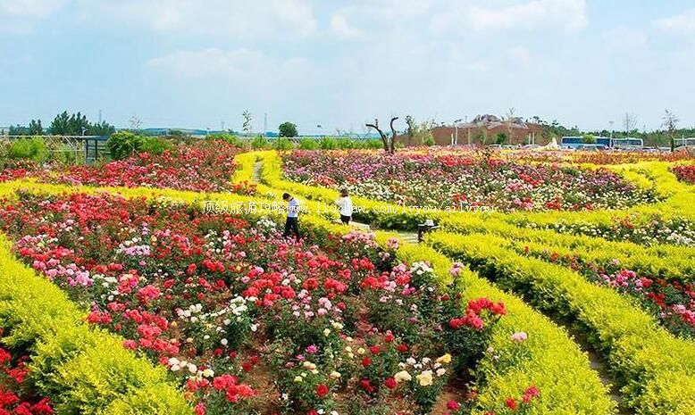 4Aɽ���ൺõ��С�����ι���