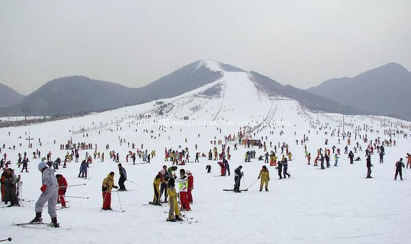 3Aɽ���ൺ��ɽ��ѩ�����ι���