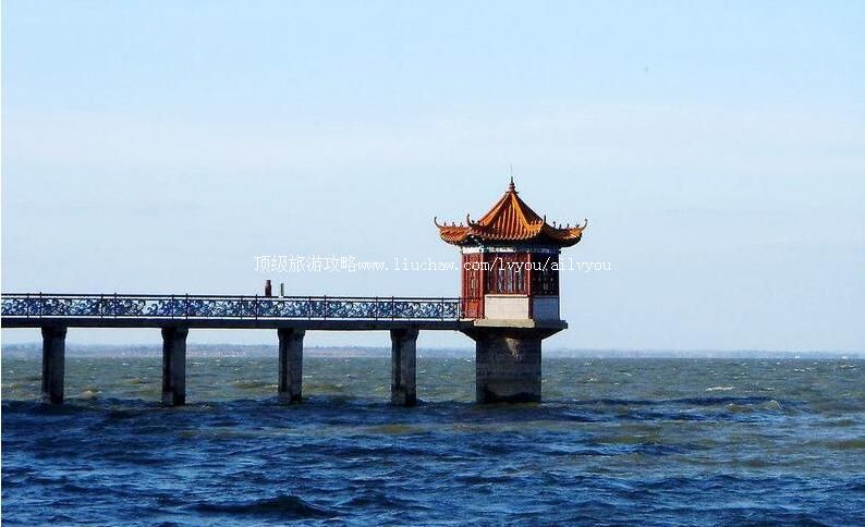 3Aɽ����������̬���������ι���