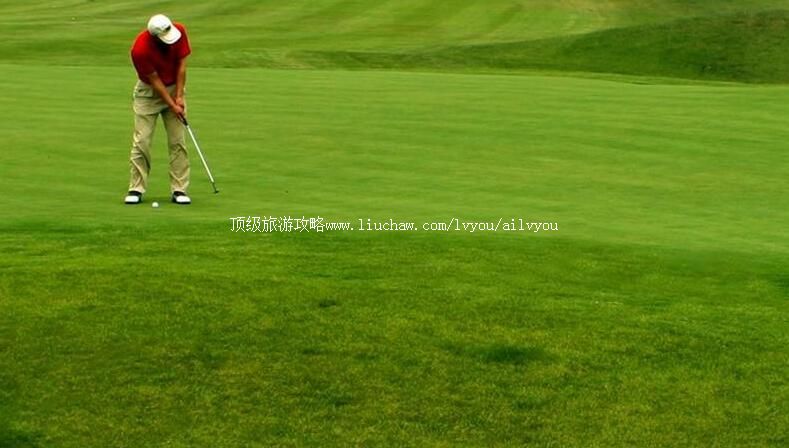 3Aɽ����ɽ���������ֲ����ι���