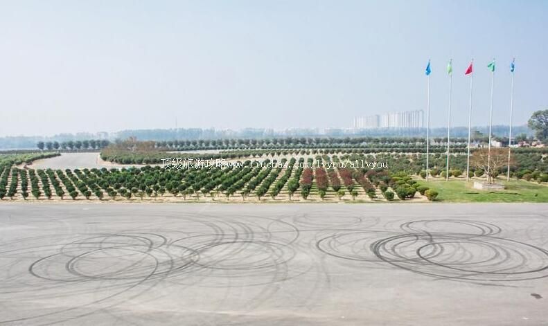 山东临沂正直汽车主题公园旅游攻略