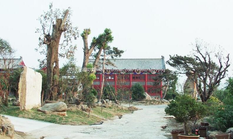 3Aɽ������������԰���ι���