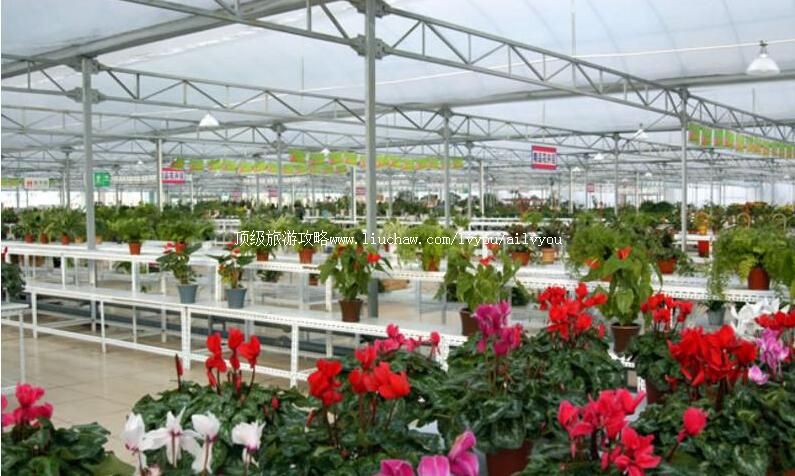 3Aɽ������³�ϻ��ܳ����ι���