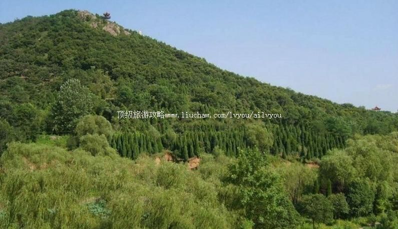 3Aɽ���������羰��ʤ�����ι���