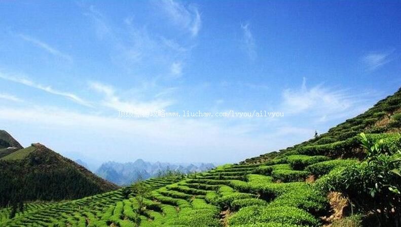 2Aɽ�����ʲ�ɽ���������ι���