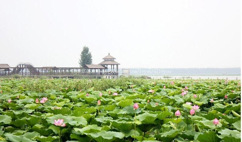 4Aɽ������΢ɽ���羰��ʤ�����ι���