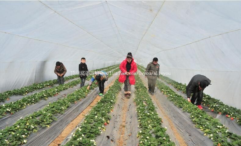 3Aɽ���޳����ĵ��ݮ�۹���̬԰���ι���