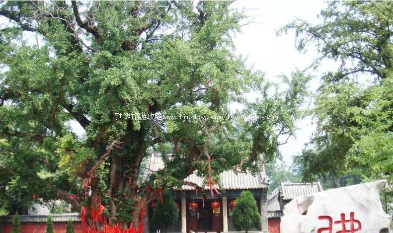 3A山东泗水安山寺旅游攻略