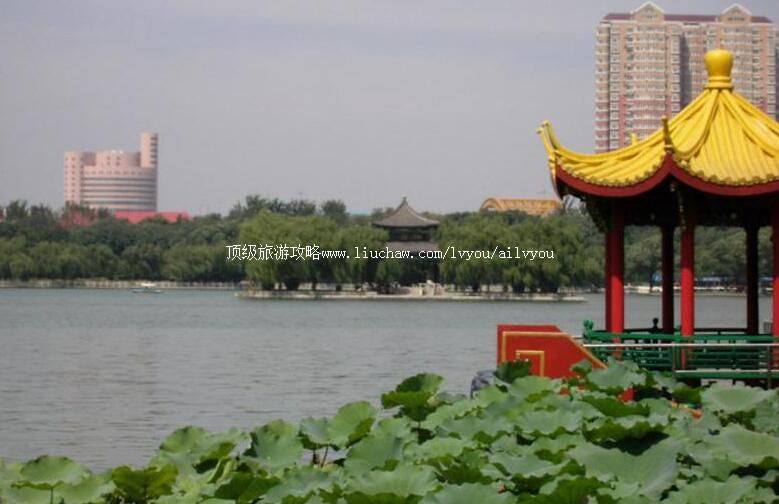 5Aɽ�����ϴ�������԰���ι���