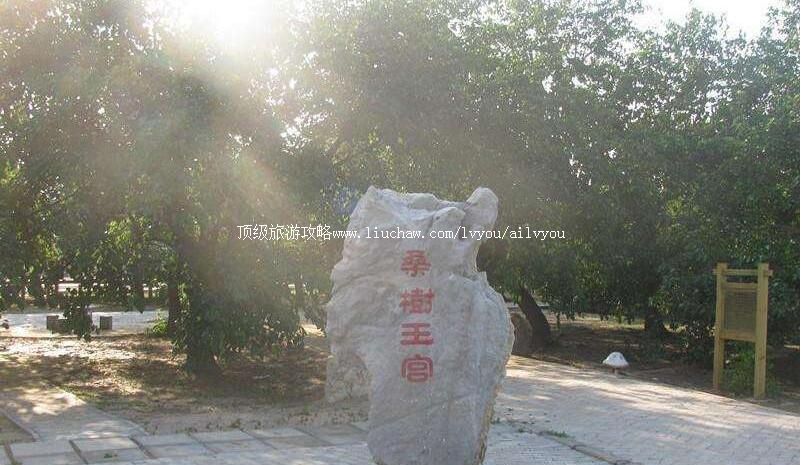 3Aɽ�����ǧ���ɣ��ң����԰���ι���