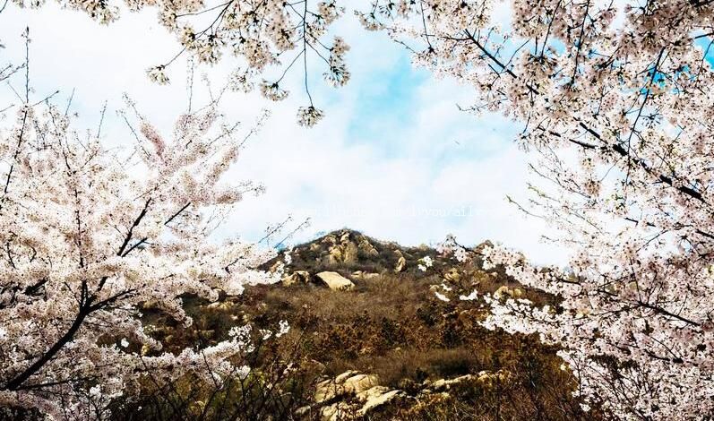 3Aɽ��������ƽӣ��ɽ�羰�����ι���