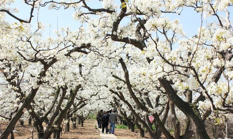 3Aɽ������������Ķ��԰���ι���