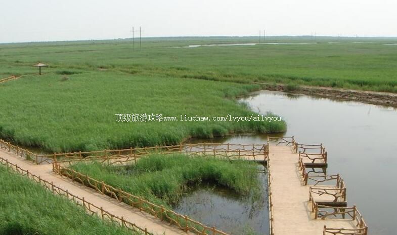 ɽ���ƺ������޹��Ҽ���Ȼ���������ι���