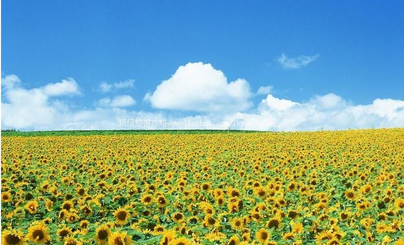 3Aɽ�������ƺӻ�̲��̬��԰���ι���