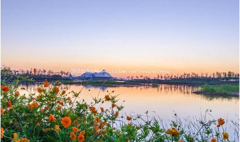 3Aɽ����Ӫ԰��԰���ι���