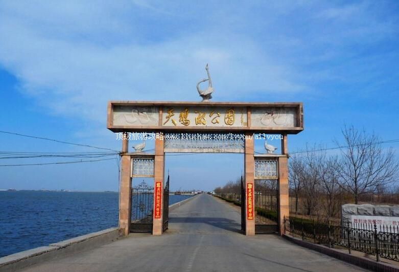 3Aɽ����Ӫ���ú��������ι���