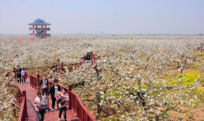 3Aɽ��������԰�羰�����ι���