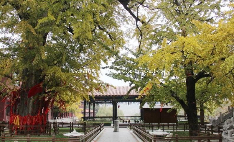 3Aɽ����ˮ��ˮ���������ι���