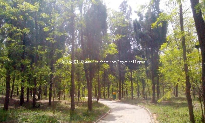 3Aɽ�������Ľ������Գ����ι���