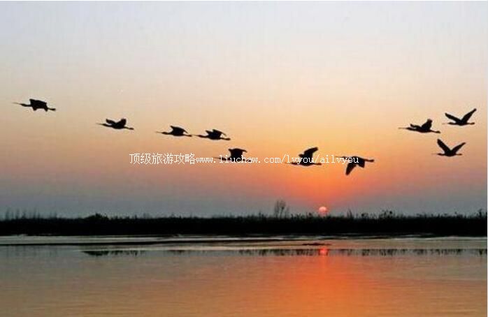 2A������Ĳ�������������ι���