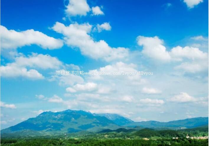 4A���������лư�ɽ����ɭ�ֹ�԰���ι���