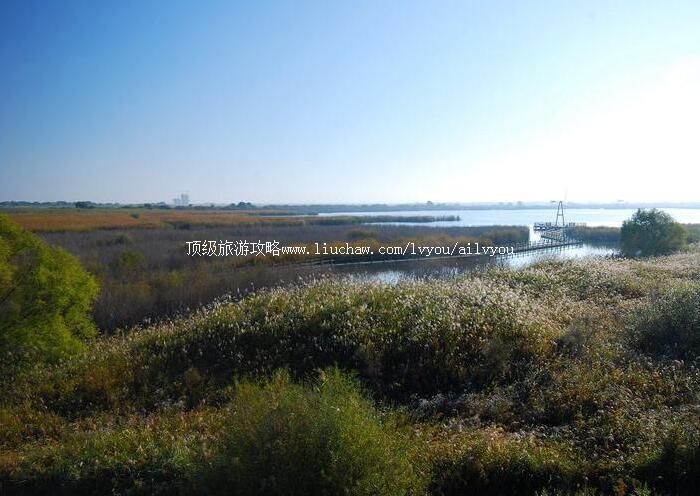 ����ԥ���ƺӹʵ�ʪ��������Ҽ���Ȼ���������ι���