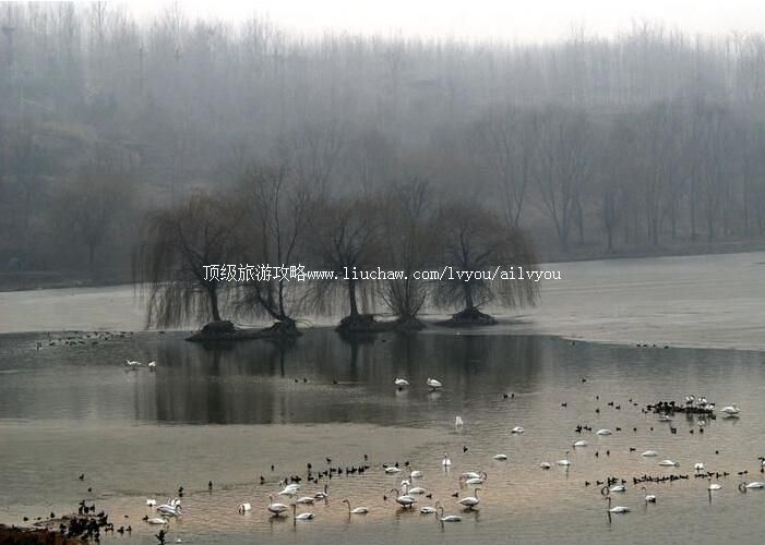 ��������Ͽ�������ҳ���ʪ�ع�԰���ι���