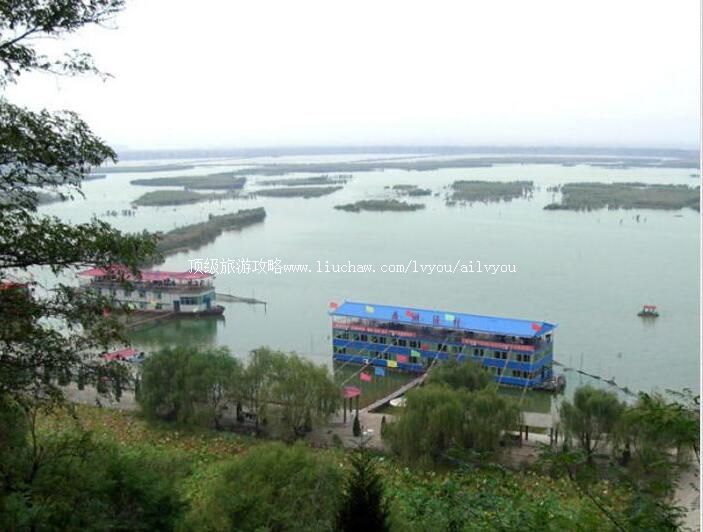 2A河南三门峡鼎湖湾芦苇荡风景区旅游攻略