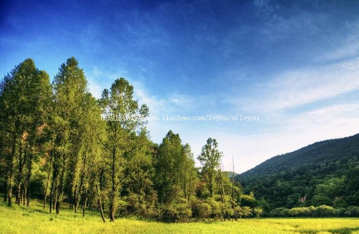 陕西延安子午岭国家级自然保护区旅游攻略