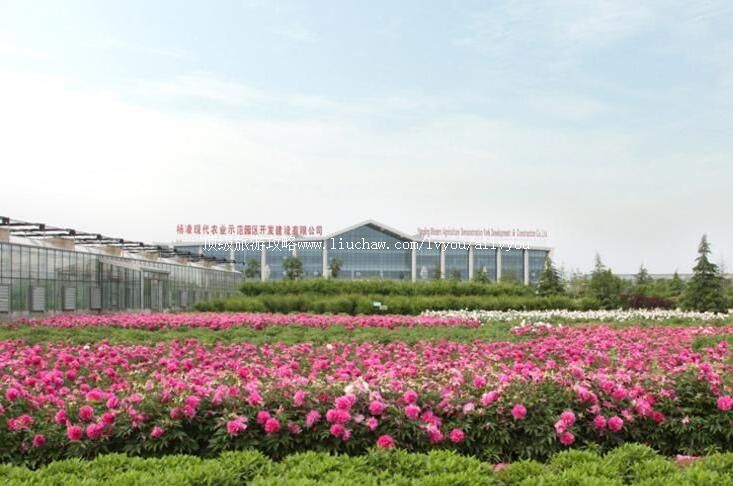 4A���������ִ�ũҵʾ��԰����԰���ι���