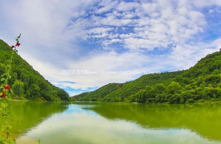 4A�����������ɺ��������ι���