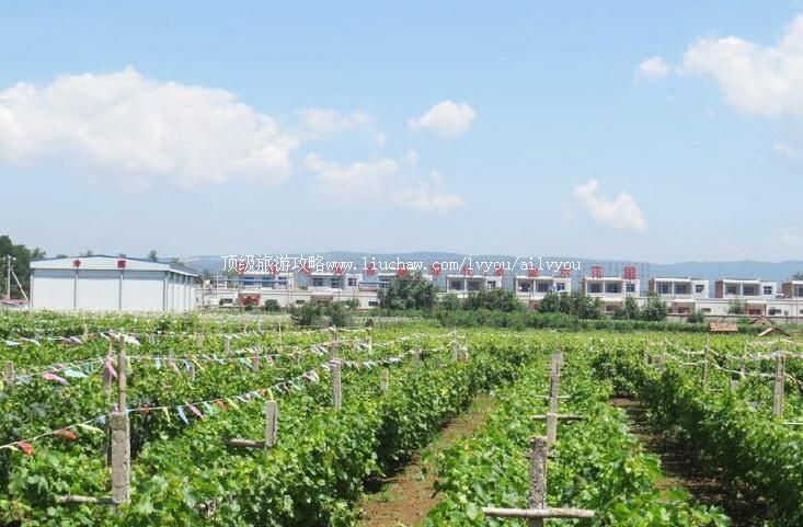 4A����������ͷ����ũҵ��������ι���