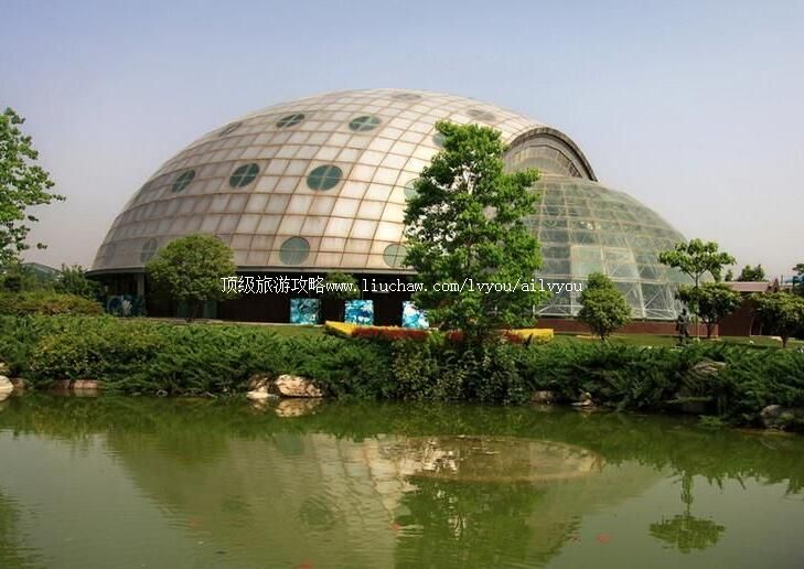 2A�����������沩������ι���