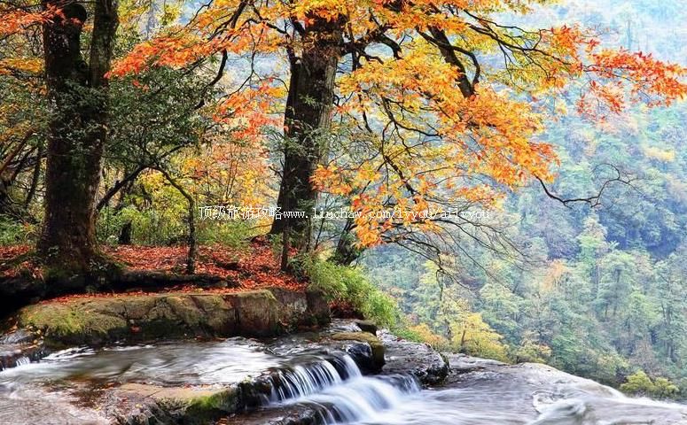 ������ͨС�ݰӷ羰�����ι���