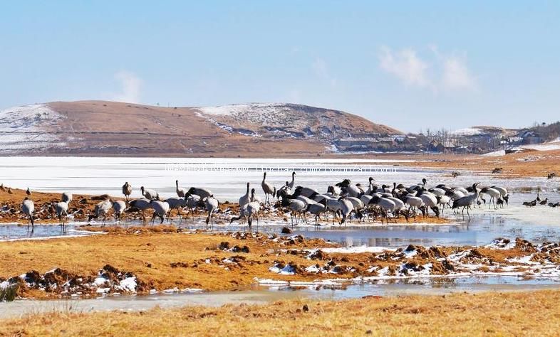 ������ͨ��ɽ�����ҹ�԰���ι���