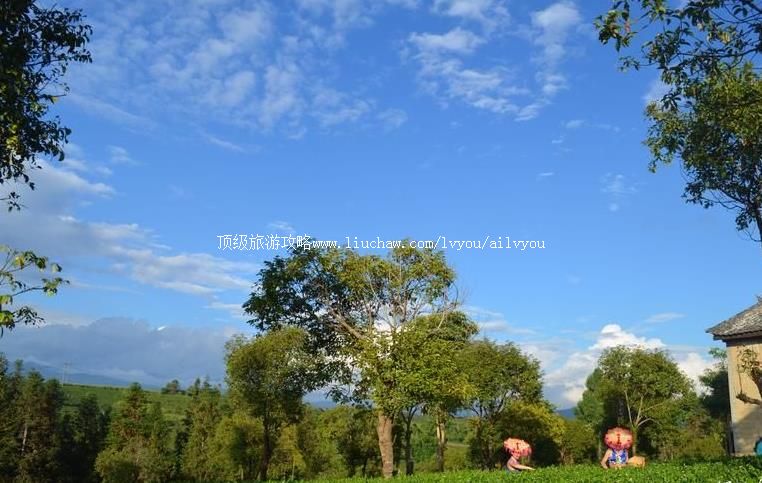 ������˫�����Ʋ�ׯ԰���ι���