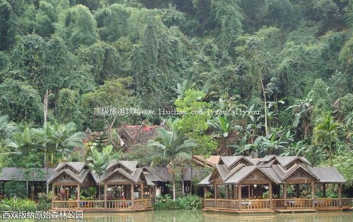 4A云南西双版纳原始森林公园旅游攻略