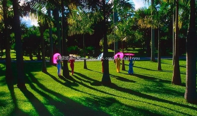 4A云南西双版纳热带花卉园旅游攻略