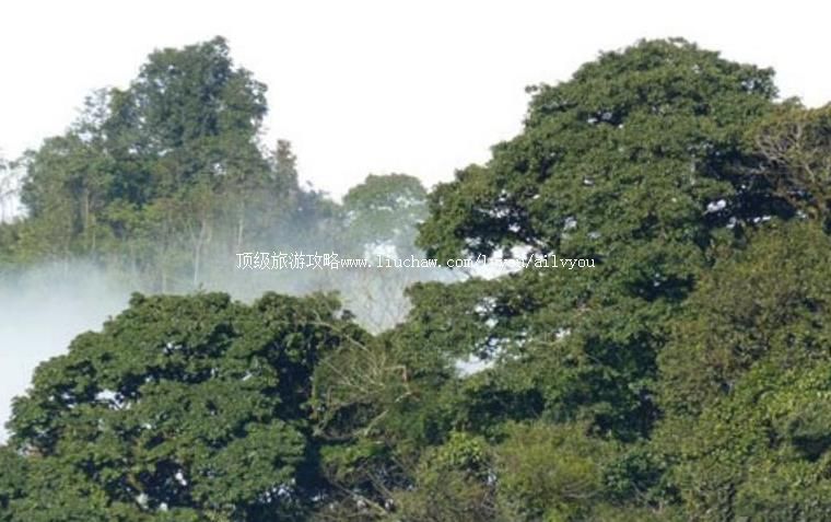 ������ɽ���Ҽ���Ȼ���������ι���