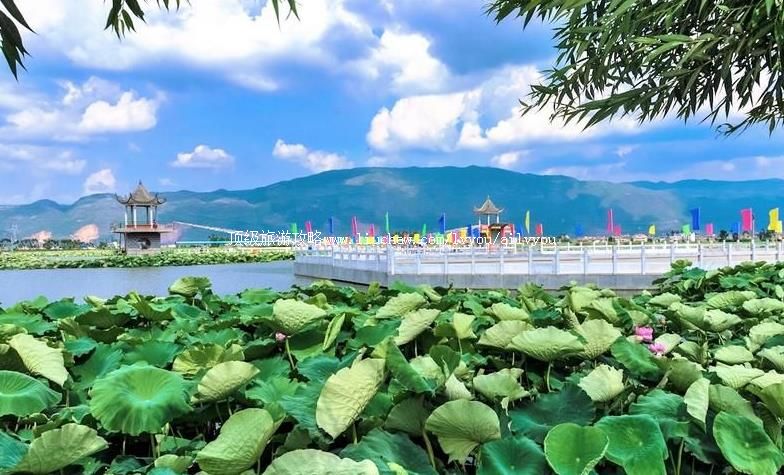 ����½����ˮ�����ι���