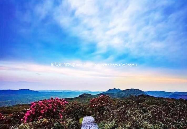 4A����ʦ�ھ���ɽ�������ι���