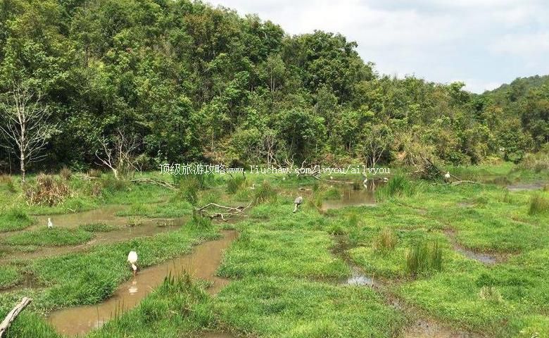 4A�����ն�̫���ӹ��ҹ�԰���ι���