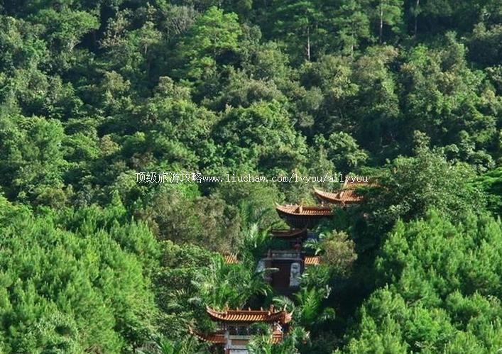 1A����˼éС�ڽ�ɭ�ֹ�԰���ι���